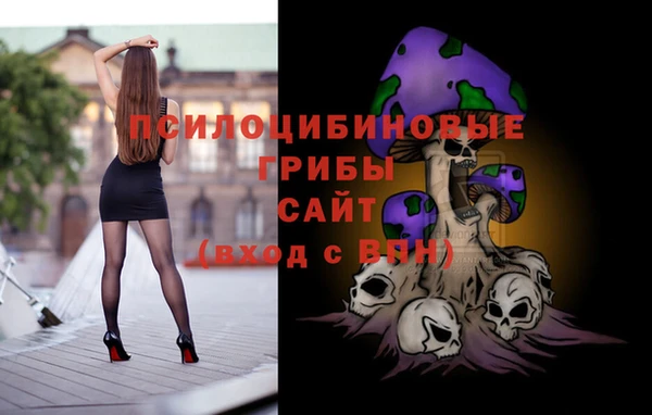 тгк Краснослободск