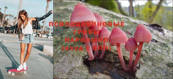 тгк Краснослободск