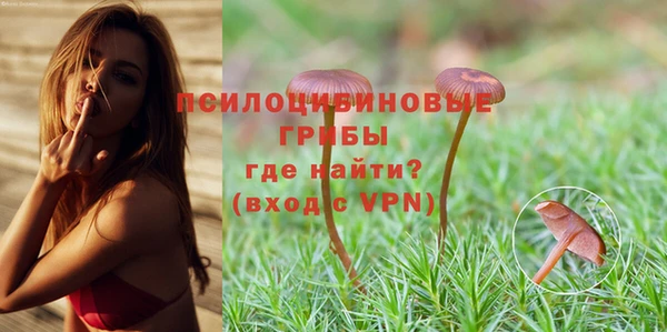 тгк Краснослободск
