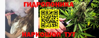 ПСИЛОЦИБИНОВЫЕ ГРИБЫ Заводоуковск