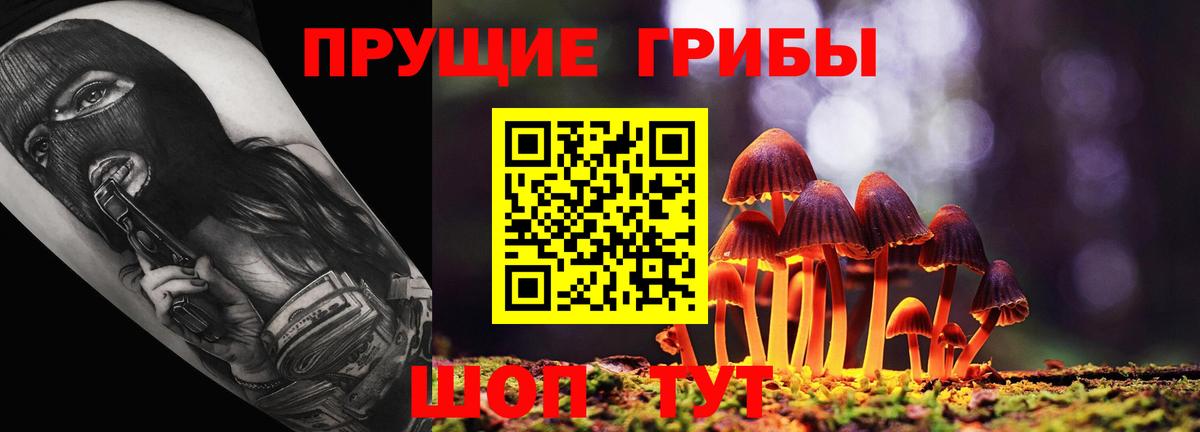 Галлюциногенные грибы Cubensis Новый Уренгой