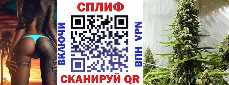 МАРИХУАНА план как найти наркотики Новый Уренгой